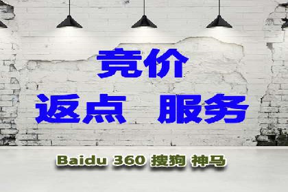 sem账户托管案例：从零到一的营销增长之路